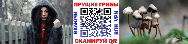 Галлюциногенные грибы ЛСД  Купить  Троицк 